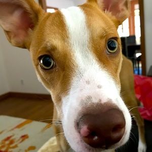 Meet your Posher, Christine